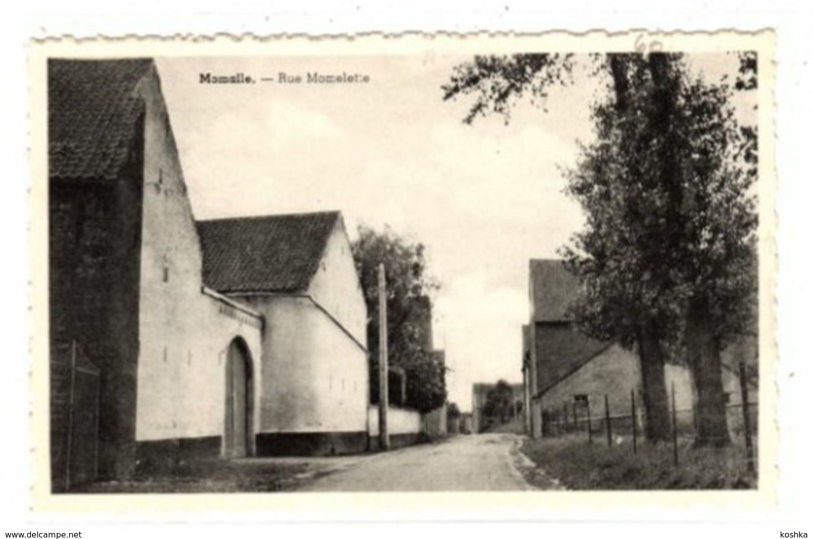 MOMALLE - Rue Momelette - Remicourt