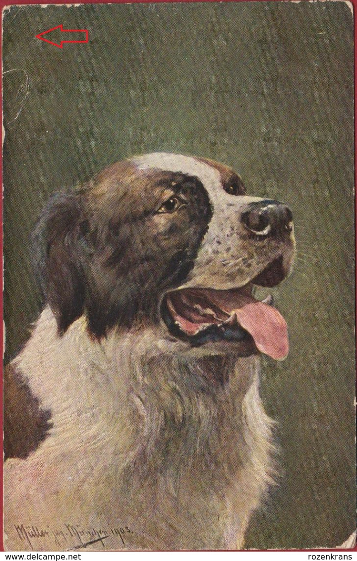 August Muller Illustrator Illustrateur Chiens Dogs Chien Dog Hond Hund CPA Old Postcard - Müller, August - München