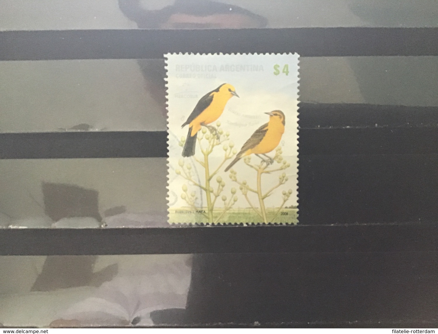 Argentinië / Argentina - Vogels (4) 2008 - Used Stamps