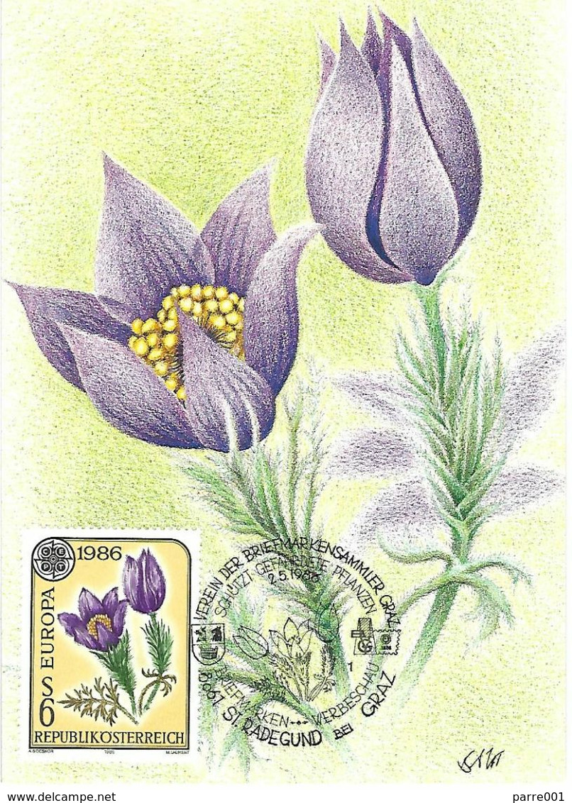 Austria Österreich 1986 St Radegrund Greater Pasque Flower Pulsatilla Grandis EUROPA CEPT Maxicard - 1986