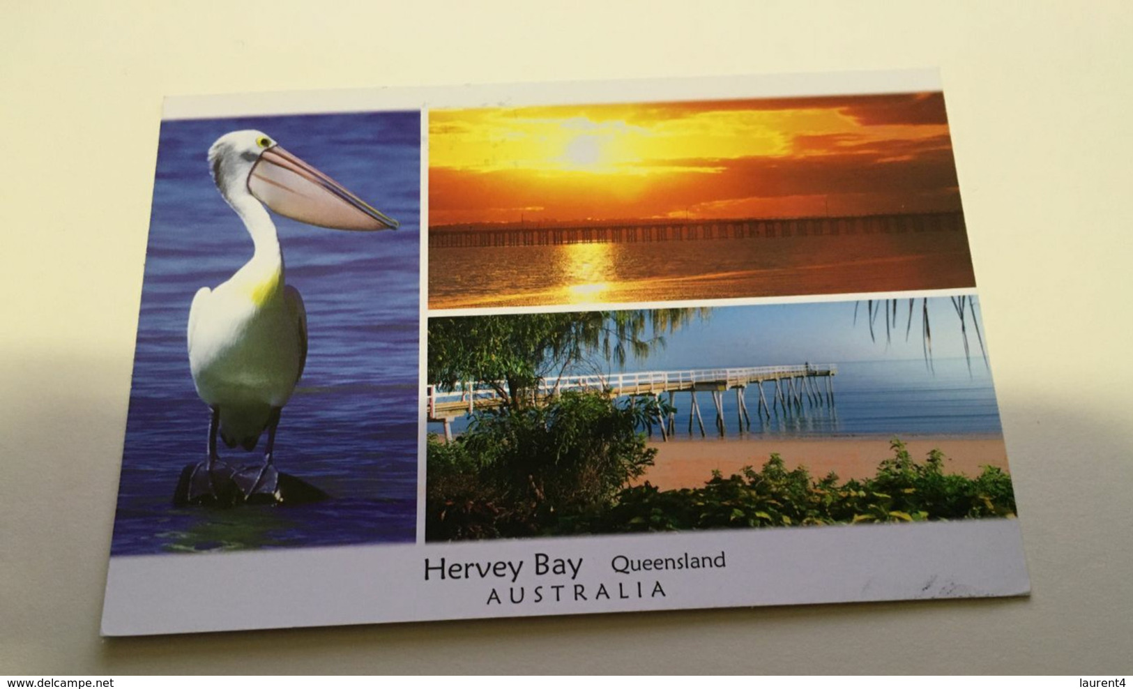 (L 20) Australia - QLD - Hervey Bay (posted With Eagle Stamp) Pelican - Broome