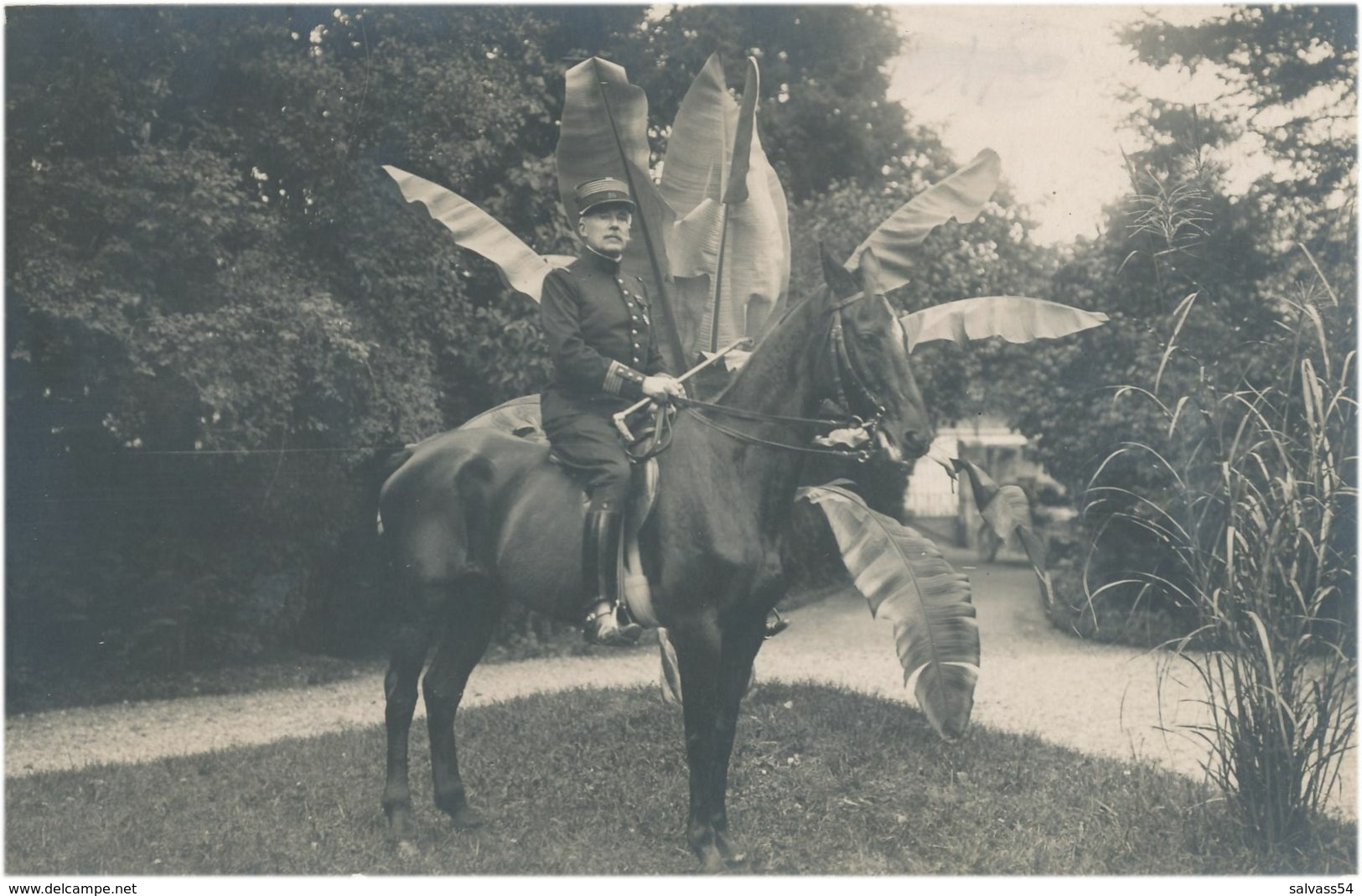 Carte-Photo : Portrait Militaire - Colonel à Cheval Par CABOUD à Annecy (BP) - War, Military