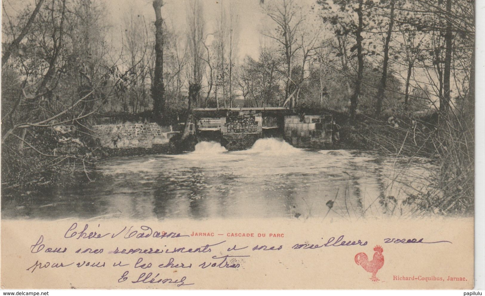 DEPT 16 : Précurseur édit. Richard Coquibus N° 9 : Jarnac Cascade Du Parc - Jarnac