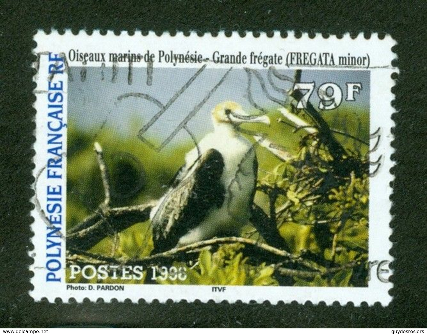 Bird / Oiseaux Grande Frégate; Polynésie Française / French Polynesia; Scott # 686; Usagé (3443) - Used Stamps