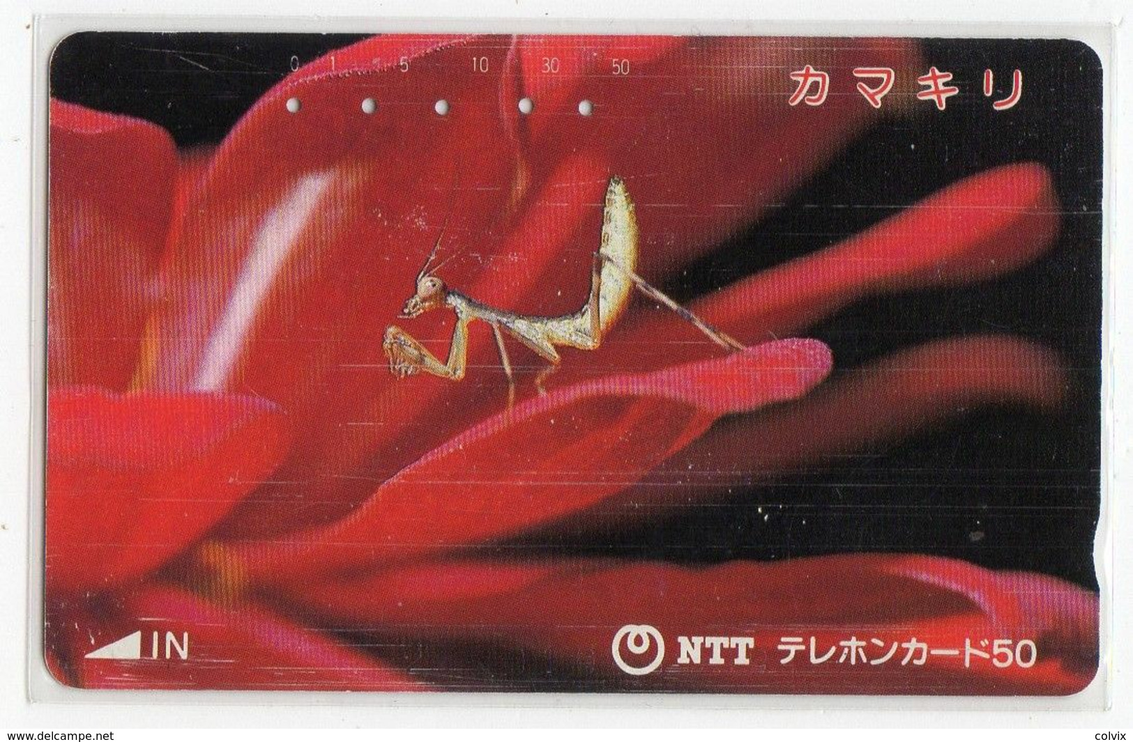 TELECARTE JAPON INSECTE SAUTERELLE - Abeilles