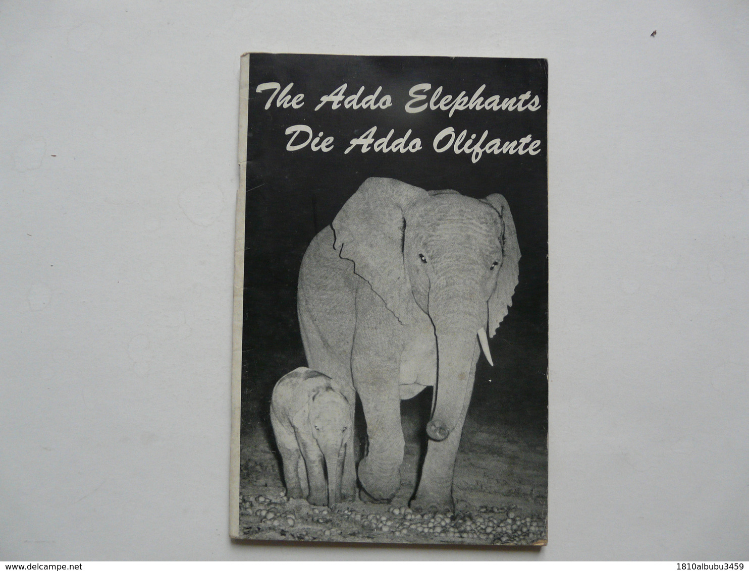 THE ADDO ELEPHANTS - DIE ADDO OLIFANTE - Afrique