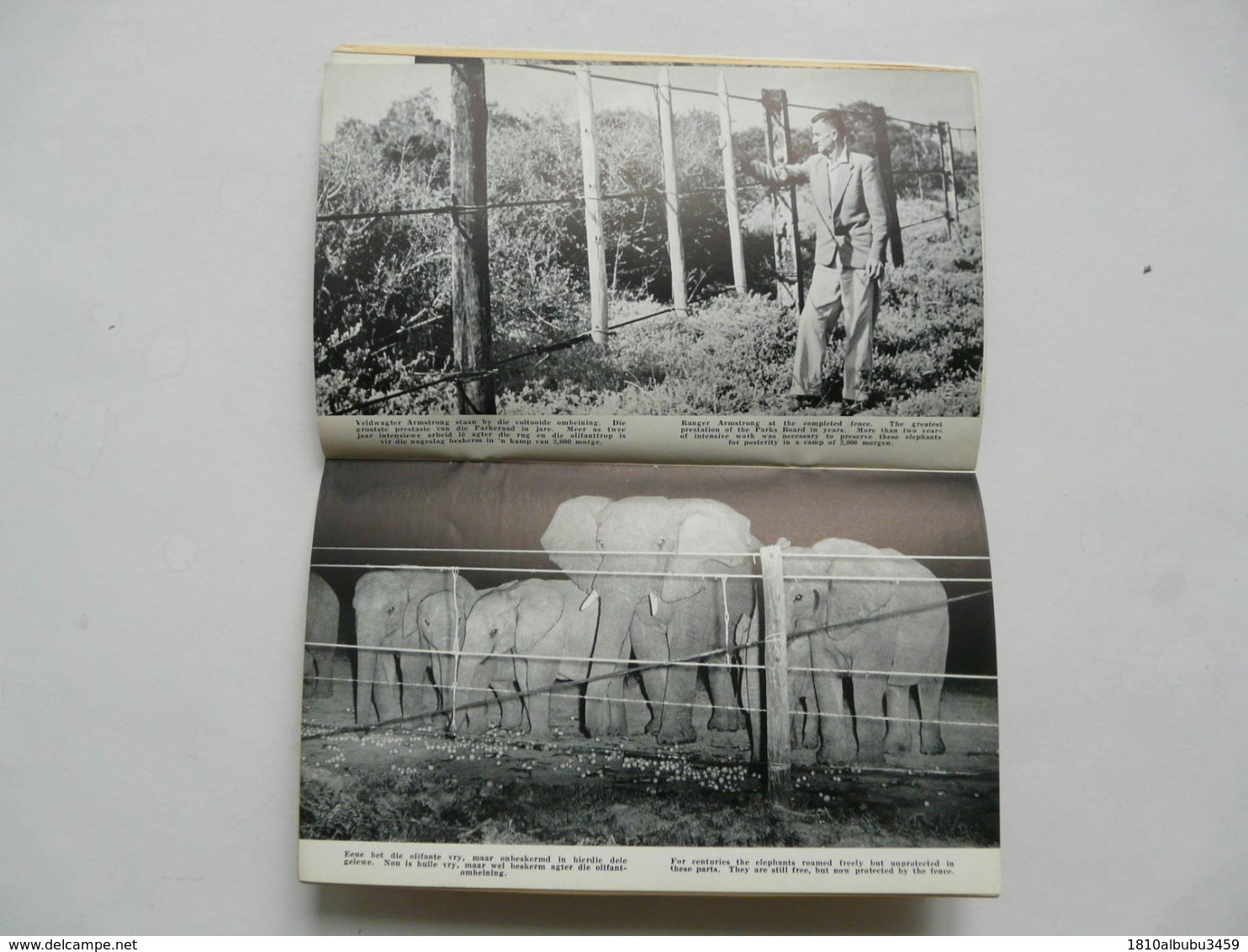THE ADDO ELEPHANTS - DIE ADDO OLIFANTE - Afrique