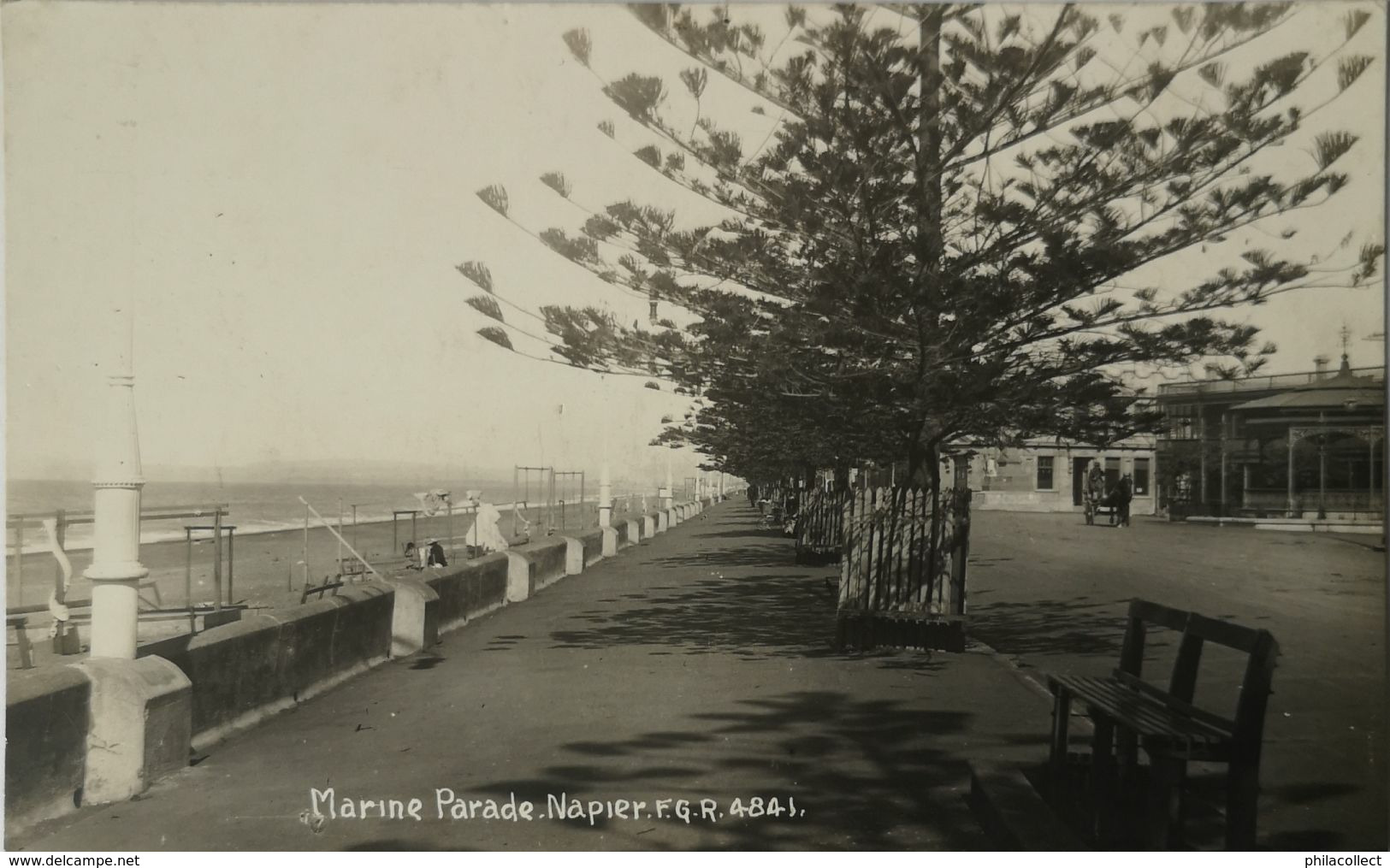 New Zealand / Photo Card - RPPC // Napier (Marine Parade) 19?? - Neuseeland