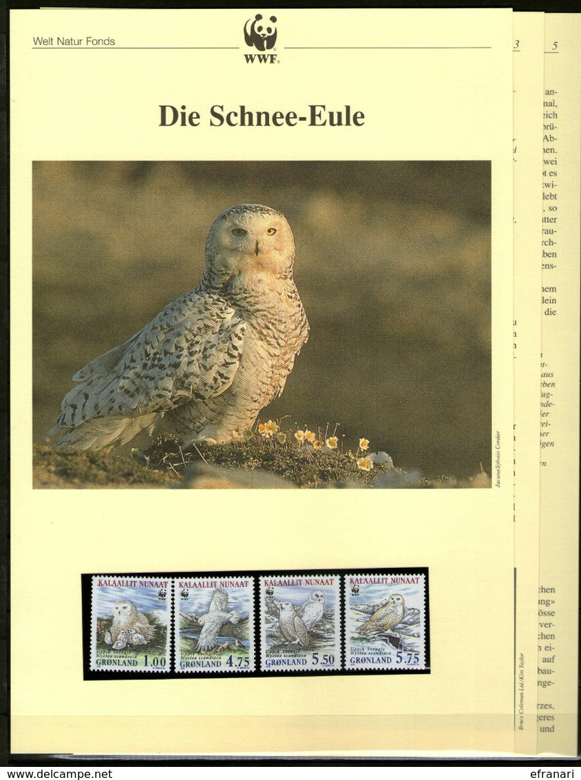 1999 Grönland/Greenland WWF Schnee-Eule/Snowy Owl 4 ** + 3 Blätter Beschreibung - Unused Stamps