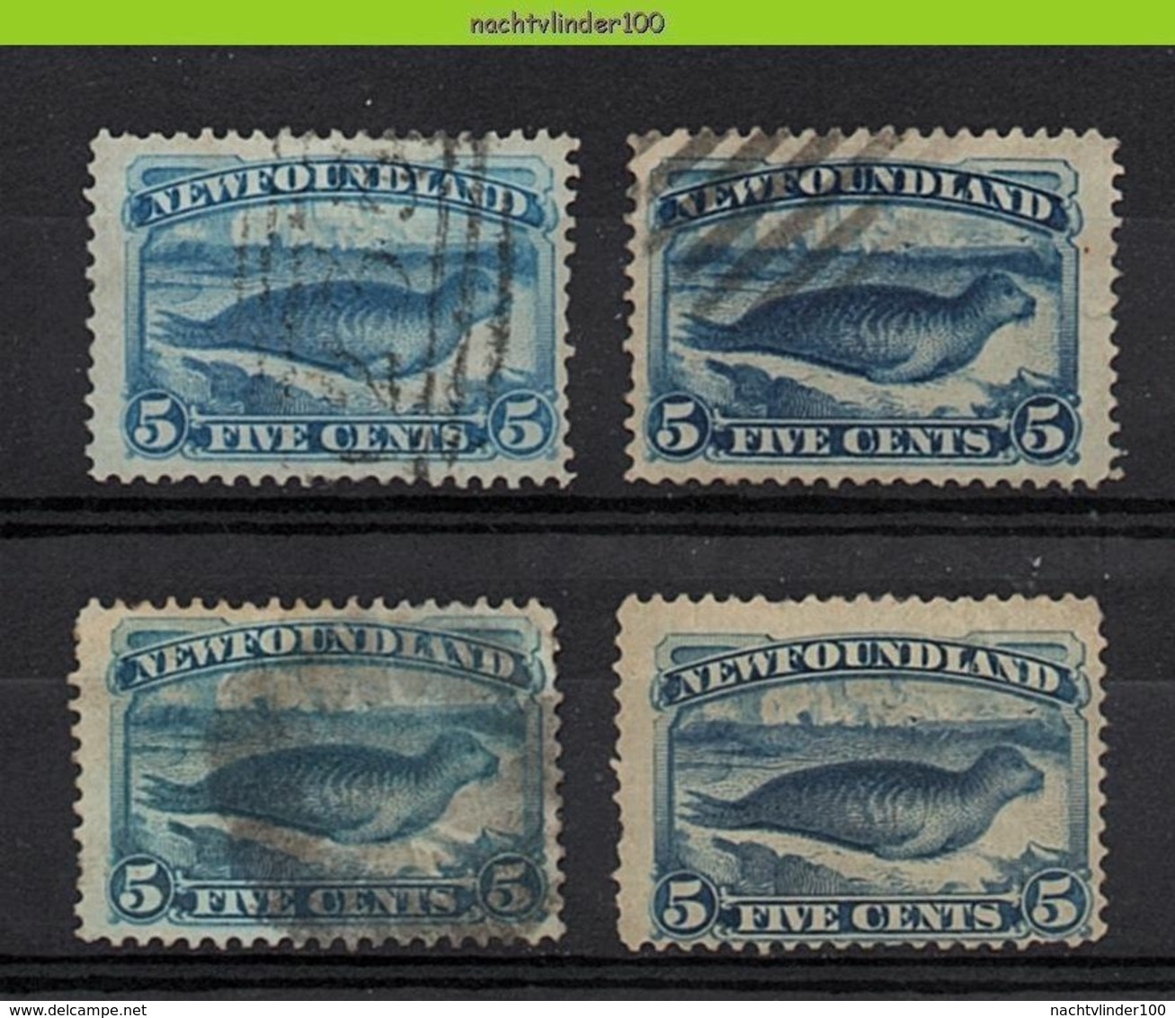 Nbu233 FAUNA ZEEZOOGDIER ZEEHOND SEAL SEA MAMMAL MARINE LIFE NEWFOUNDLAND 1880 Gebr/used - Sonstige & Ohne Zuordnung