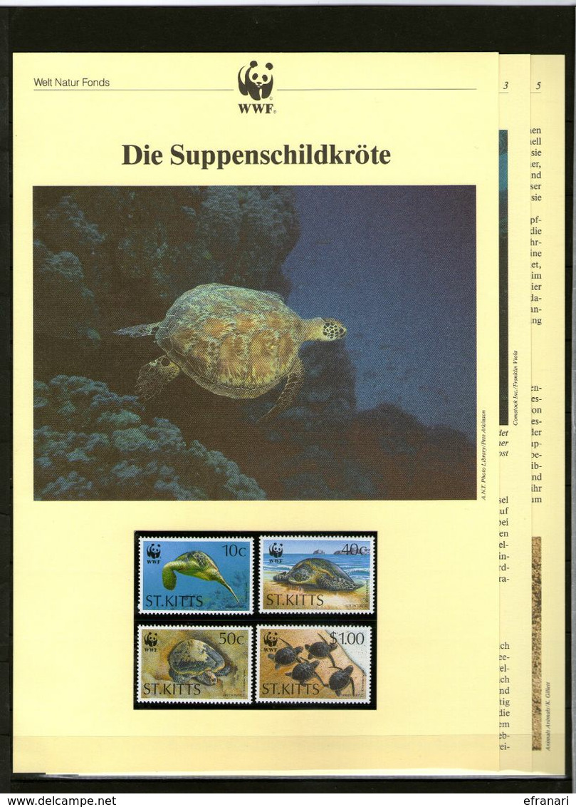 1995 St. Kitts WWF Suppenschildkröte/Green Turtle 4 ** + 3 Blätter Beschreibung - Unused Stamps