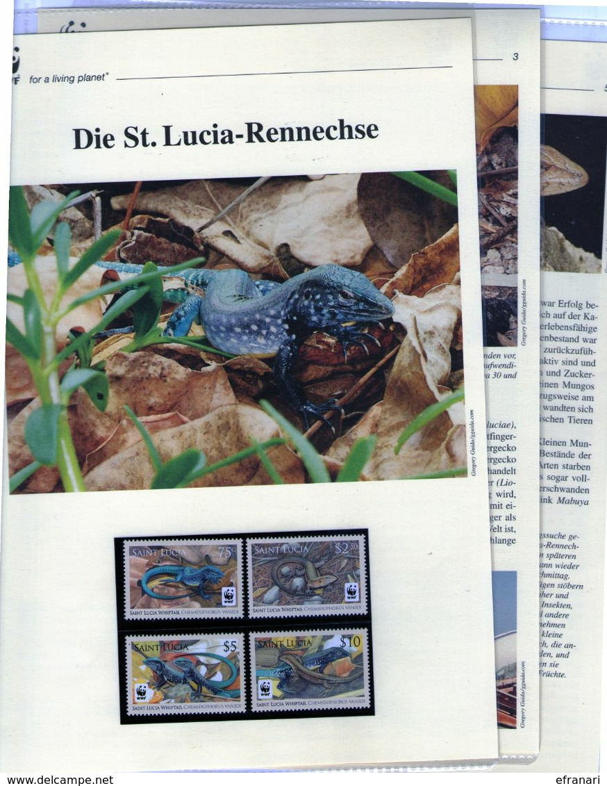 2008 St. Lucia WWF Rennechse/Whiptail 4 ** + 3 Blätter Beschreibung - Unused Stamps