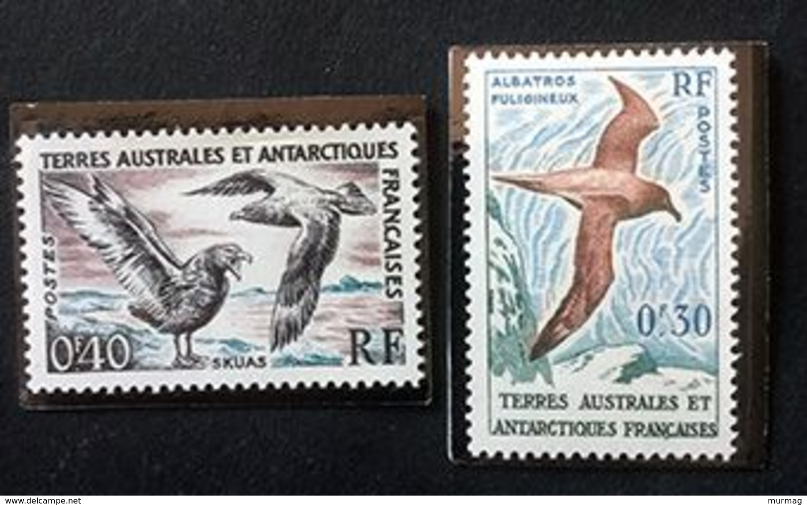 TERRES AUSTRALES ET ANTARCTIQUES FRANCAISES (TAAF) - Albatros Fuligineux - Skuas - Y&T 12-13 - 1959-63 - Ungebraucht