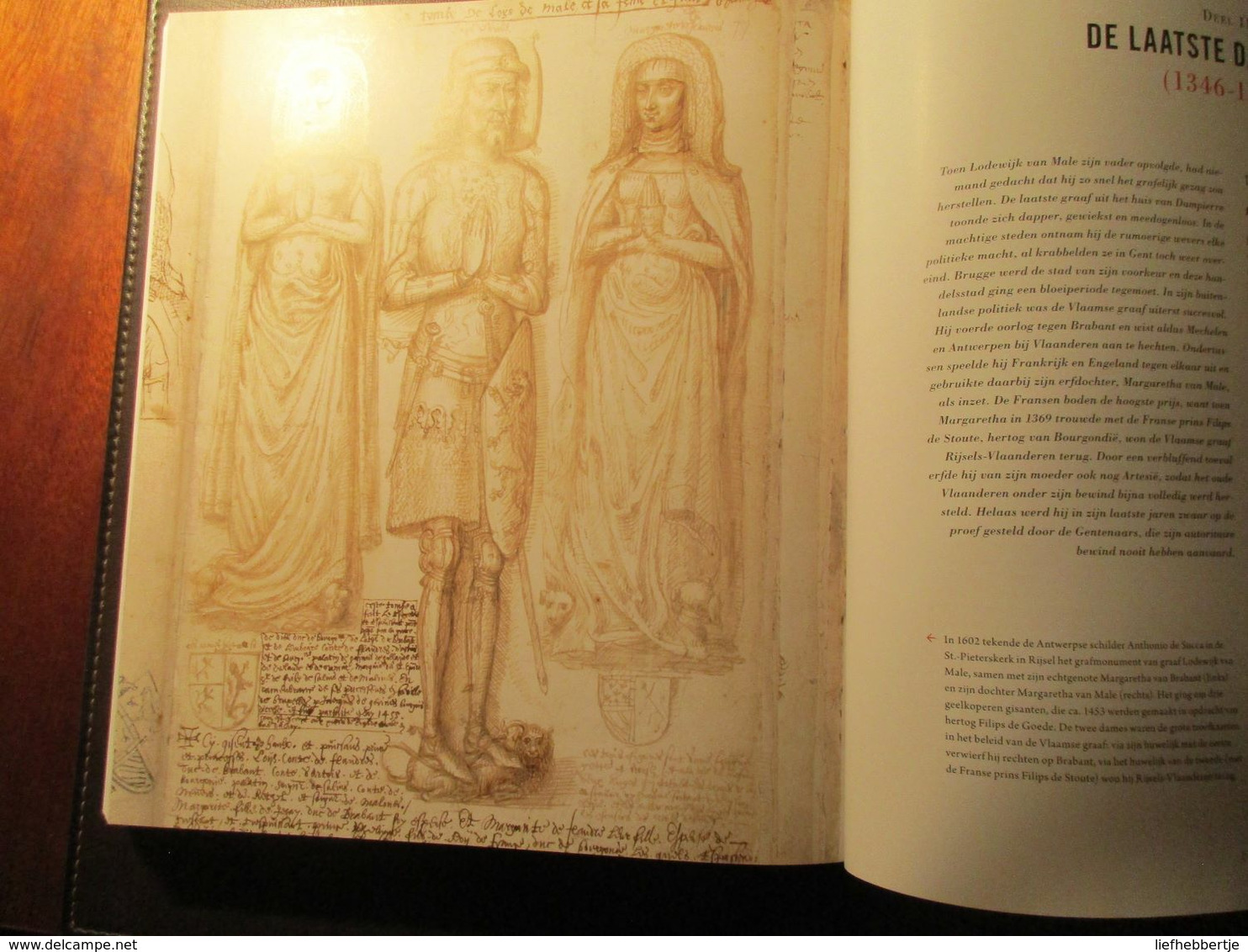 De graven van Vlaanderen 861-1384 - adel - genealogie - door E. De Maesschalck