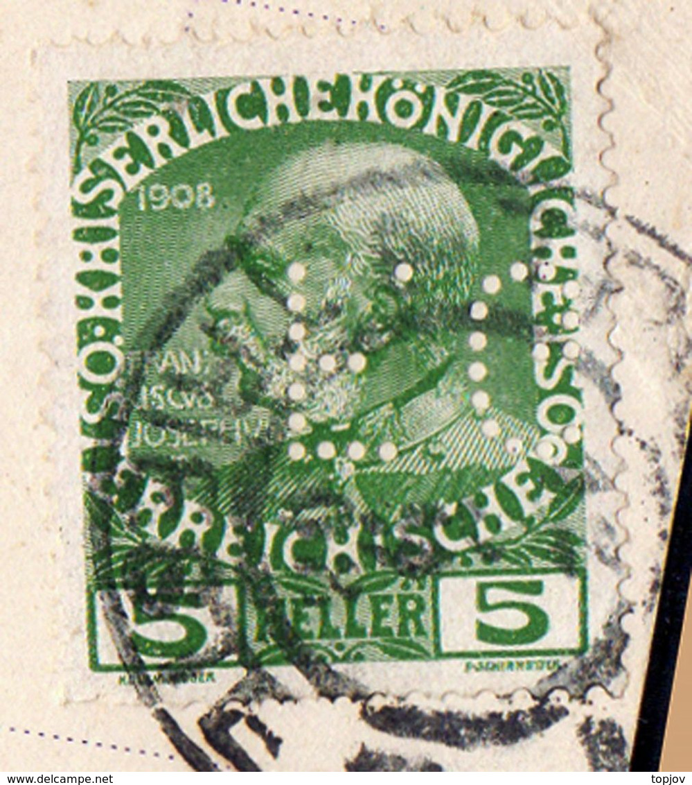 AUSTRIA - ITALIA - Perfins "F.G." INVERTED  Pastificio FRATELLI  GIRARDELLI  TRIESTE - 1908 - Perforiert/Gezähnt