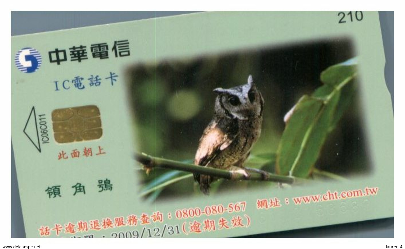 (31-08) Bird (Owl) - ネコ -Carte Tephone / Phonecard / Telefonkarte / Carta Telefonica / Tarjeta Telefónica - Hiboux & Chouettes