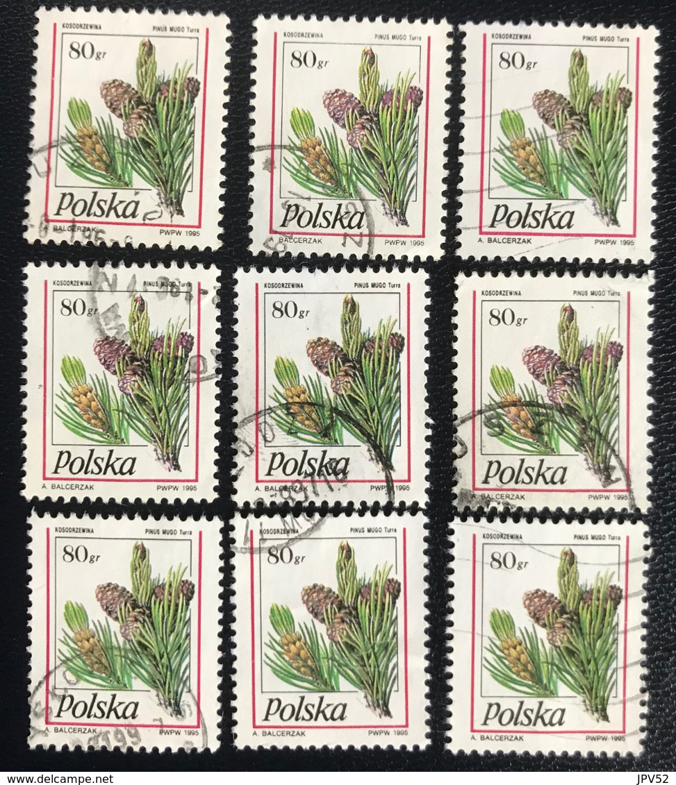 Polska - Poland - P2/49 - (°)used - 1995 - Michel Nr. 3531 - Pinus Mugo 9x - Collections