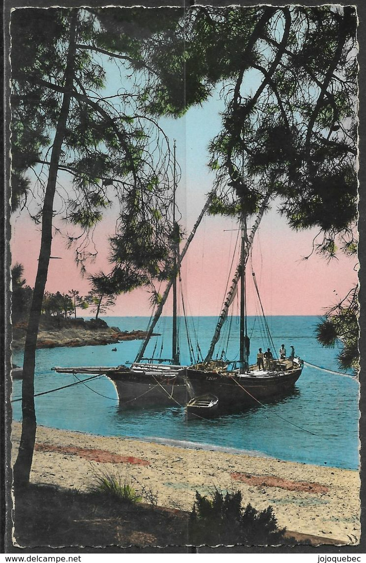 Carte Postale Ancienne De La Martinique, La Trinite, VINTAGE POSTCARD OF MARTINIQUE - La Trinite