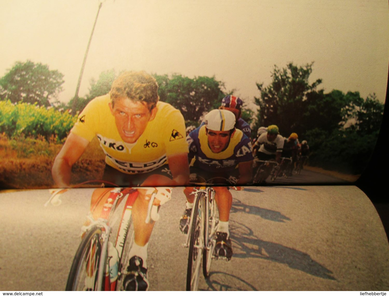 Freddy Maertens : van uitdager tot kampioen -  door Noël Couëdel  -  wielersport - coureurs - 1977