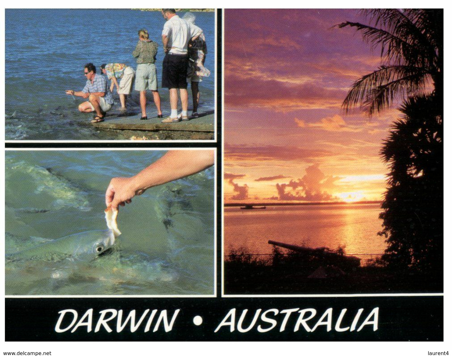 (M 6) Australia - NT - Darwin (with Stamp) (NT014) - Uluru & The Olgas