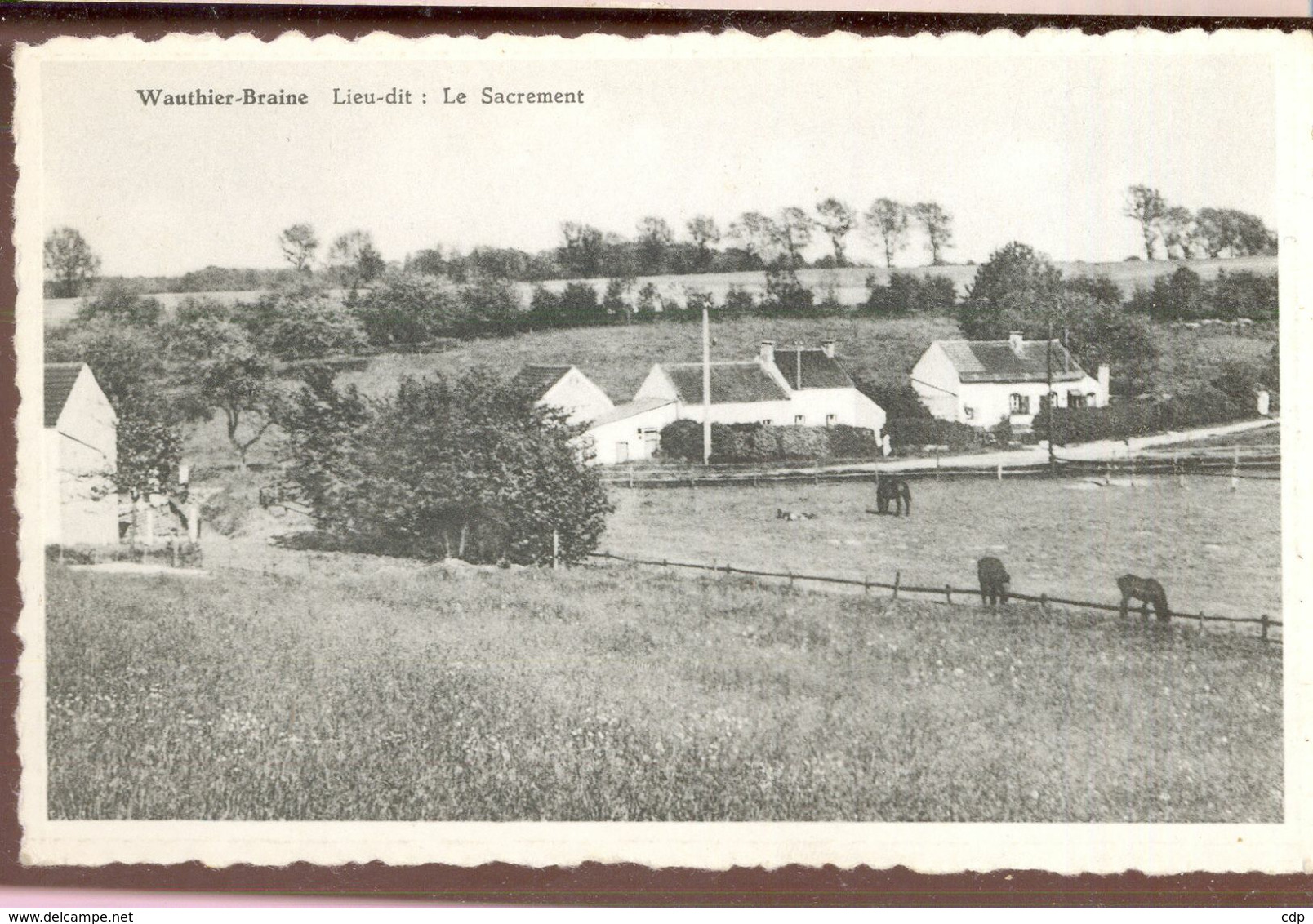 Cpsm Wauthier-braine - Braine-le-Château