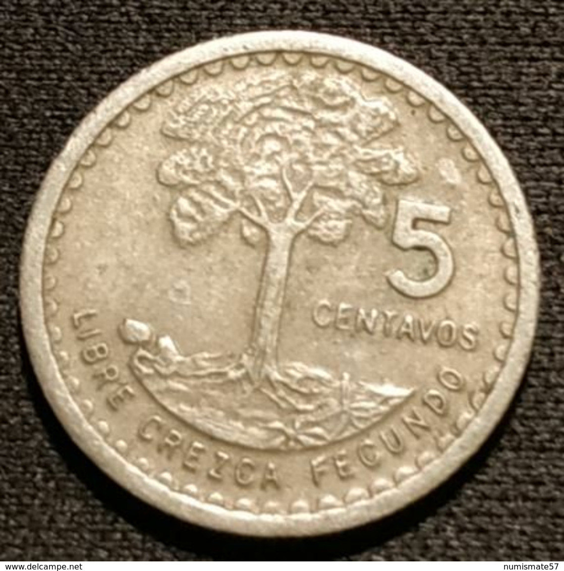 GUATEMALA - 5 CENTAVOS 1975 - KM 270 - Guatemala