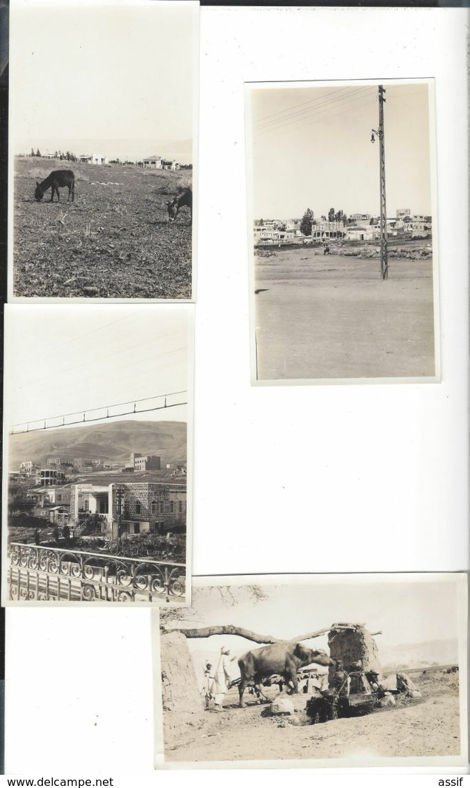 8 Photos ( 4 Légendées Datées 1932 - 4 Sans Indication - ) Visuel 8 X 13,2 Cm  - Israel Palestine - Israel