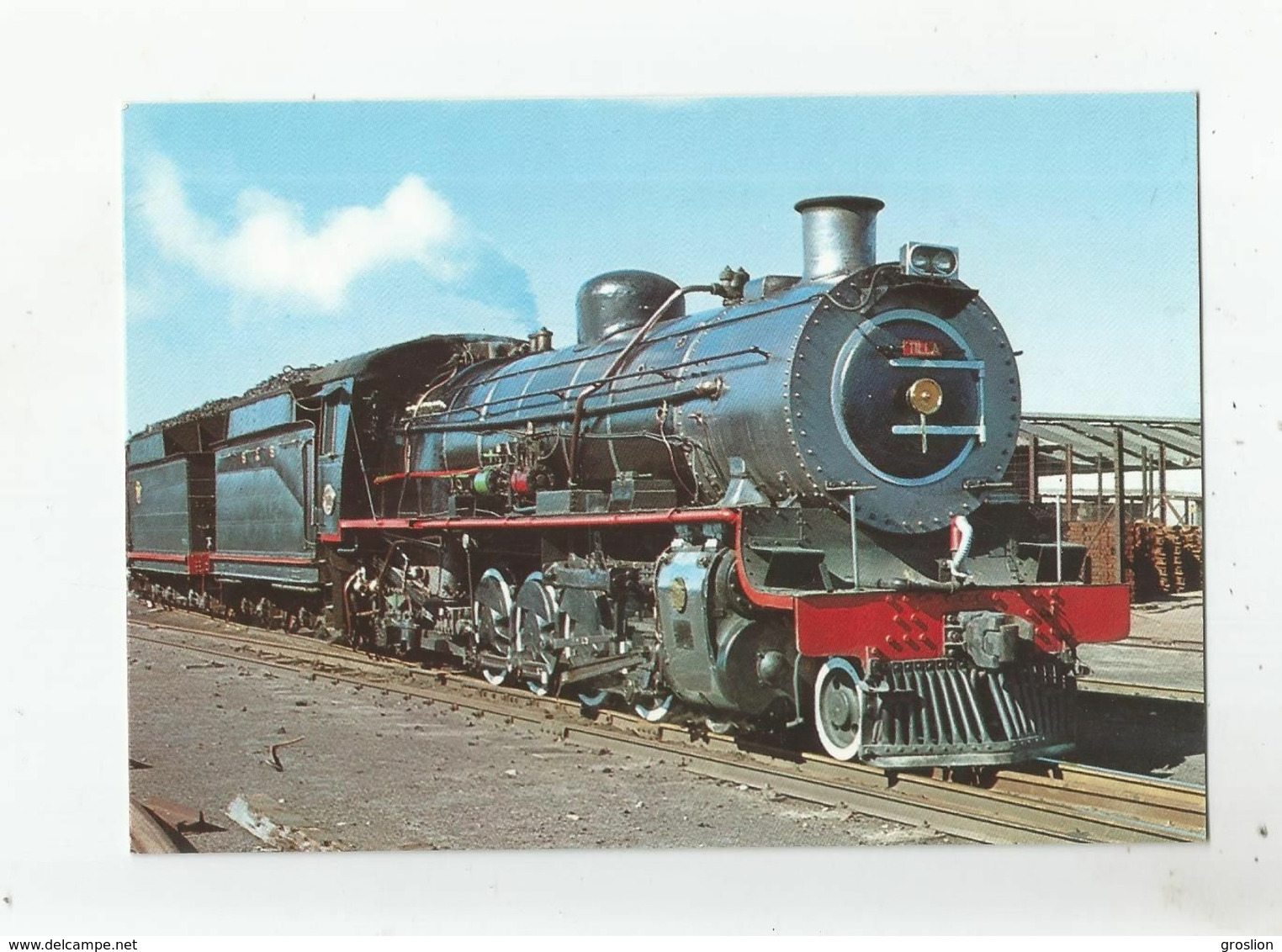 DEPOT PAAREN EILAND (CAPE TOWN) 14 8 79 SOUTH AFRICAN RAILWAYS STEAM LOCOMOTIVE TYPE 14 CRB - Afrique Du Sud