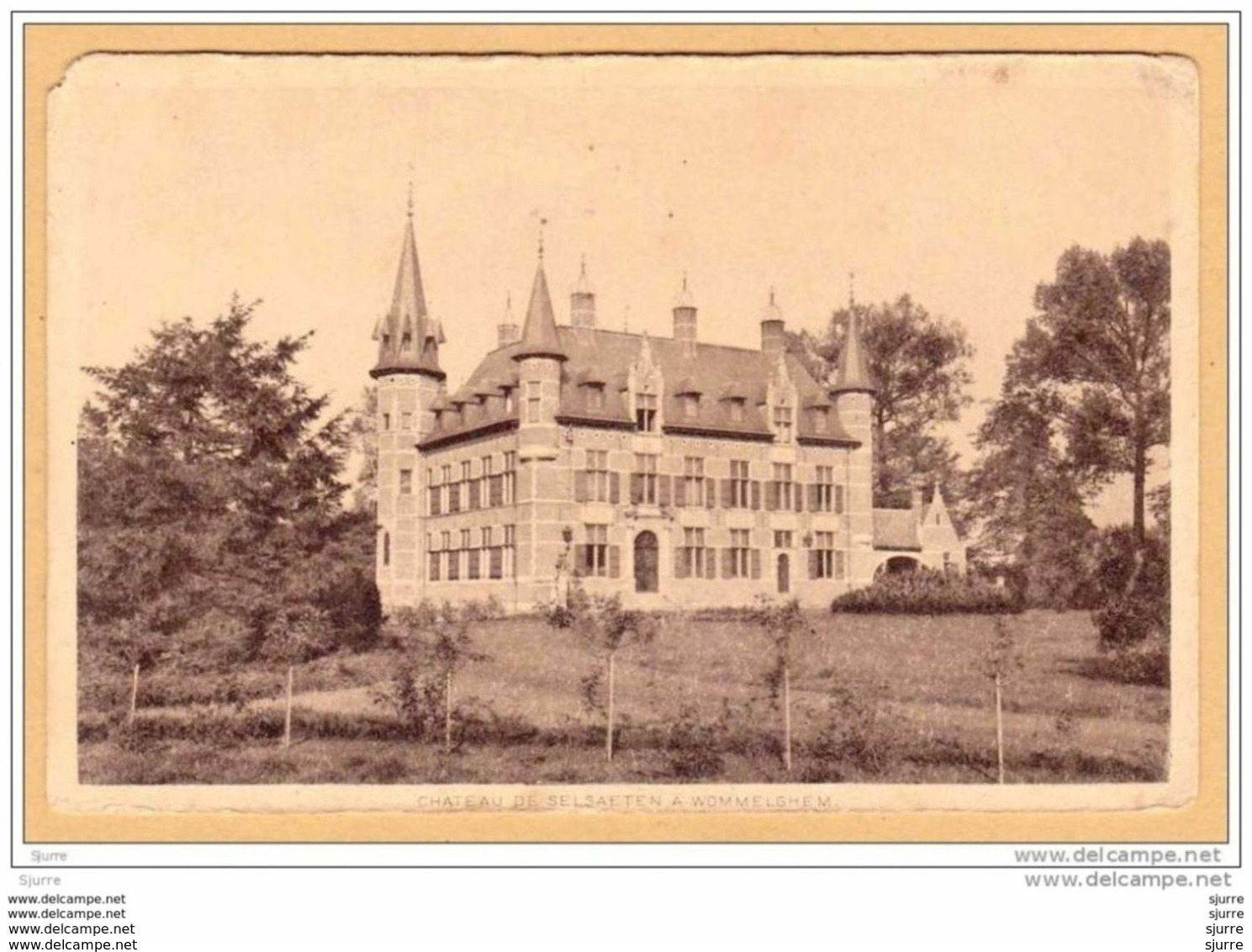 WOMMELGEM / Wommelghem - Kasteel - Château De Selsaeten - Wommelgem