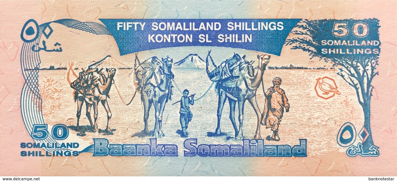 Somaliland 50 Shillings, P-11a (18.5.1996) - UNC - Bronze Overprint  - 5 Years Somaliland - Somalia