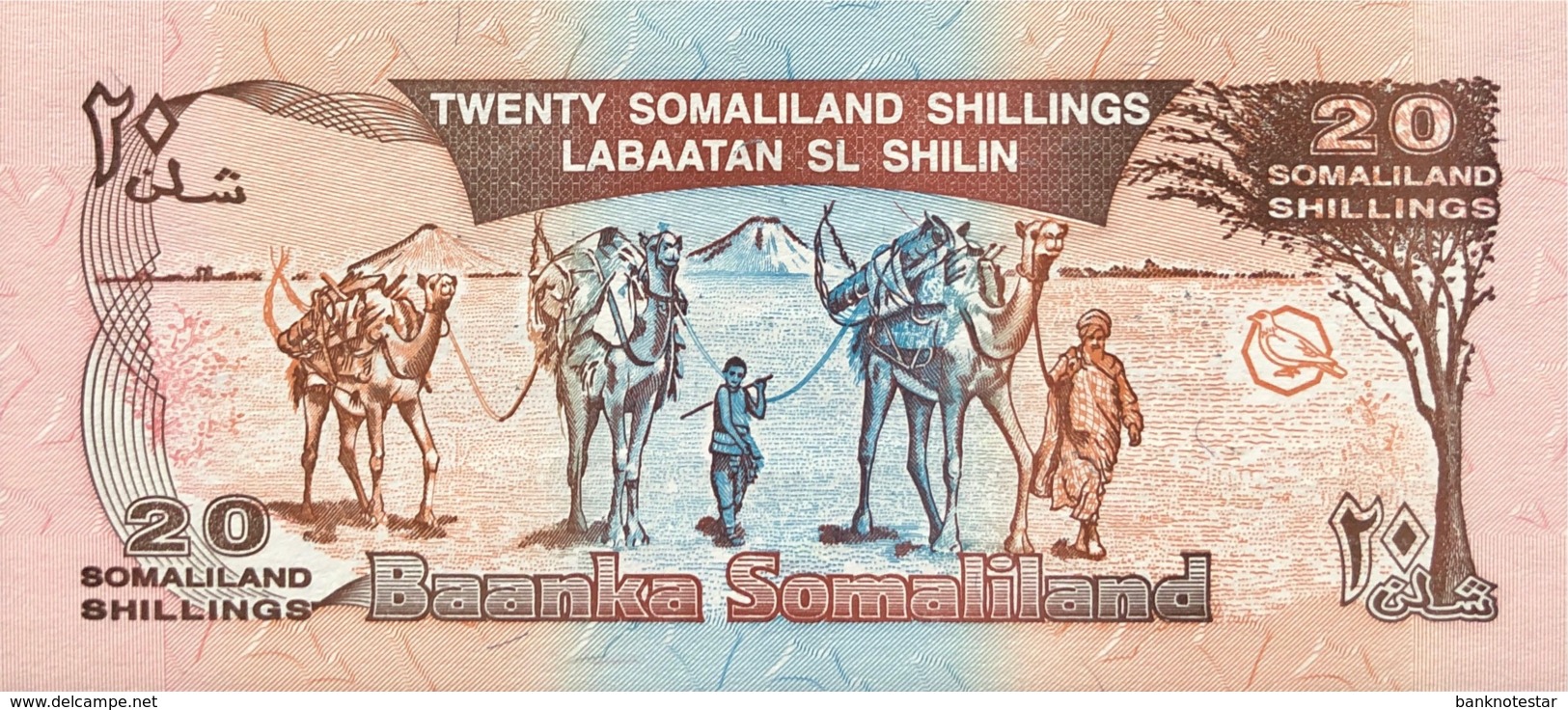 Somaliland 20 Shillings, P-16 (18.5.1996) - UNC - Silver Overprint  - 5 Years Somaliland - Somalia