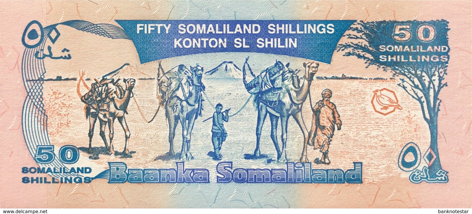 Somaliland 50 Shillings, P-17 (18.5.1996) - UNC - Silver Overprint  - 5 Years Somaliland - Somalie