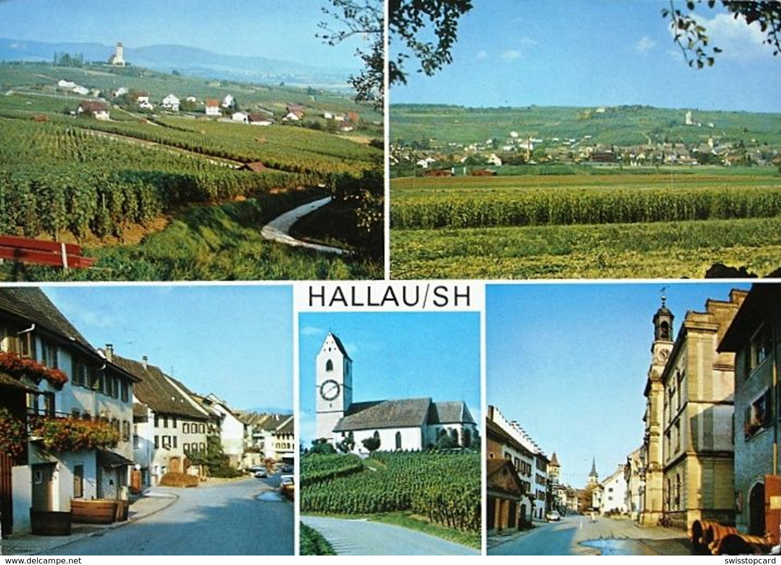 HALLAU - Hallau