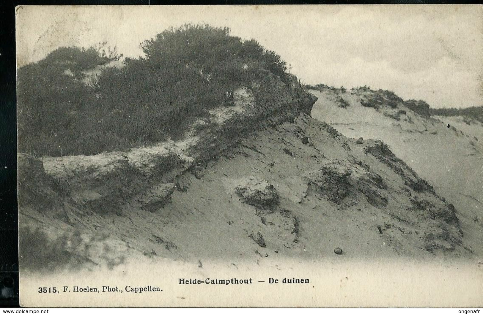 Heide-Calmpthout ( De Duinen) écrite: Calmpthout 03/09/1907 - Kalmthout