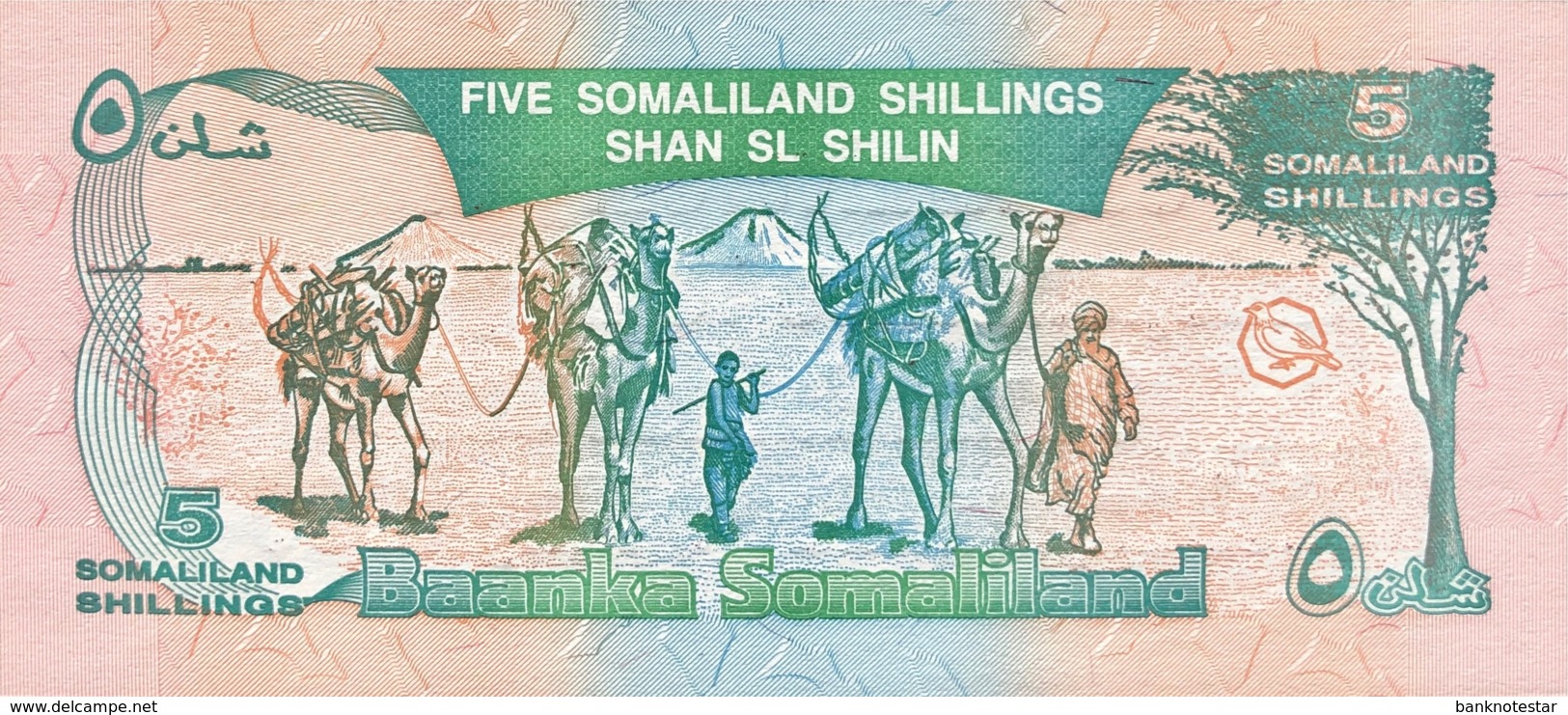 Somaliland 5 Shillings, P-8 (18.5.1996) - UNC - Bronze Overprint  - 5 Years Somaliland - Somalia