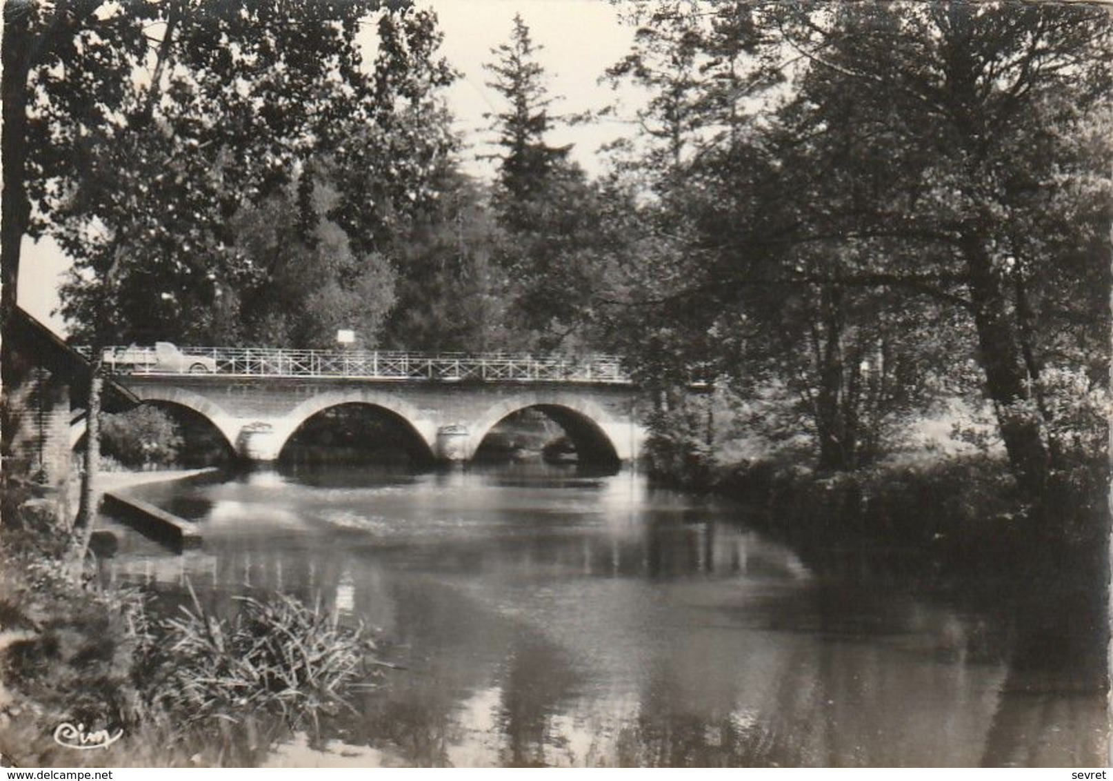 NEUNG-sur-BEUVRON. -  Le Beuvron . CPM Dentelée RARE - Neung Sur Beuvron