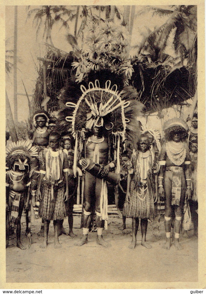 Mission De Papouasie Danseur Papou En Grand Apparat - Papoea-Nieuw-Guinea