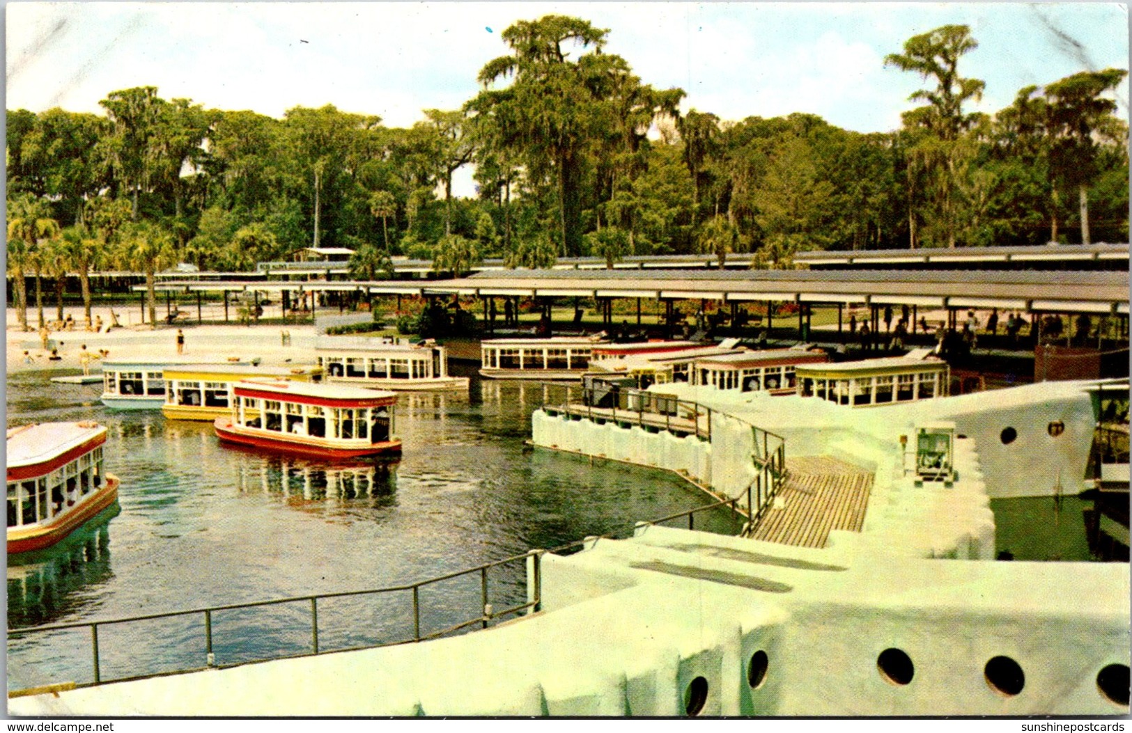 Florida Silver Springs Glass Bottom Boats - Silver Springs