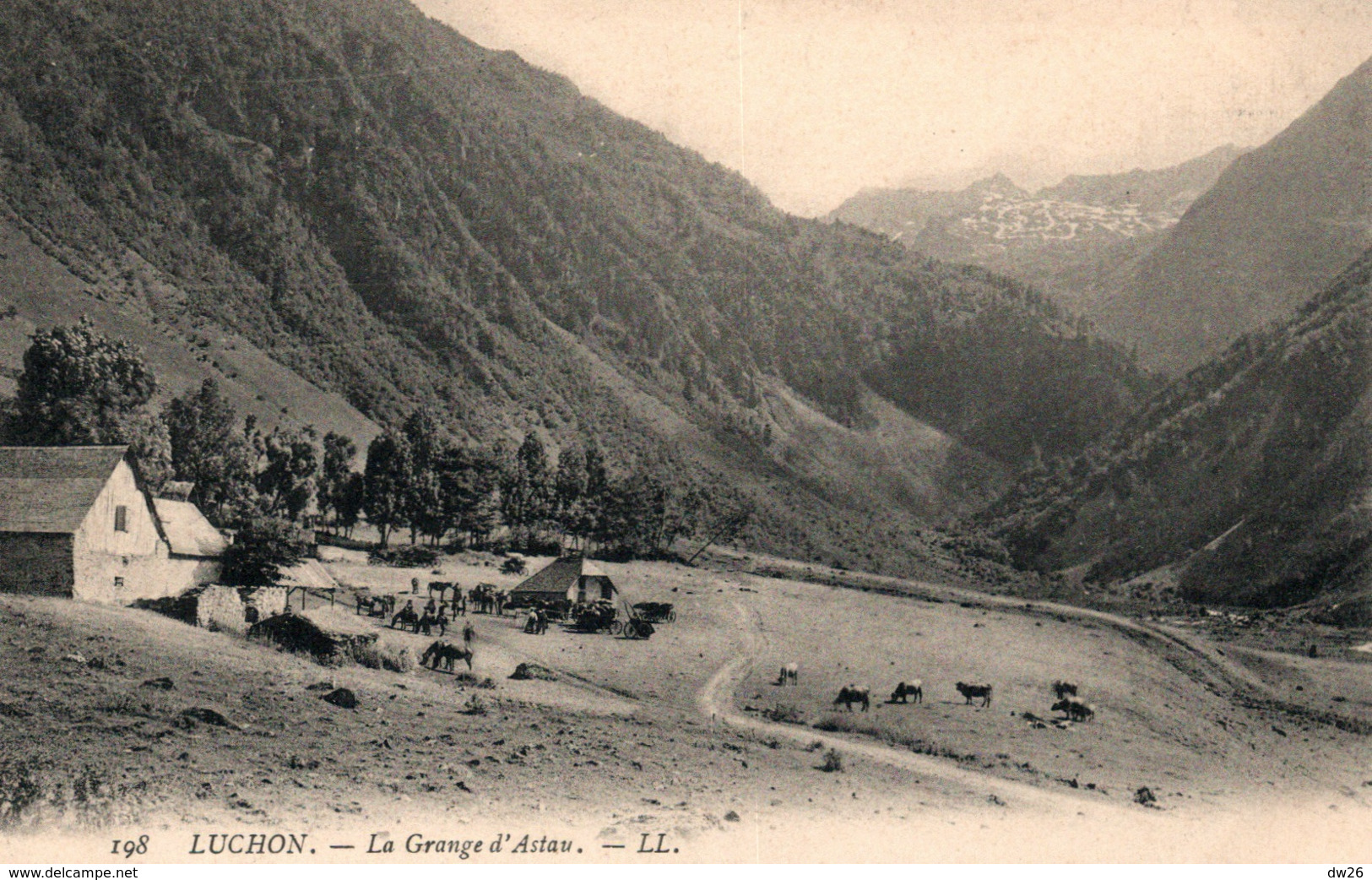 Luchon - La Grange D'Astau, Pâturages - Carte LL N° 198 Non Circulée - Luchon