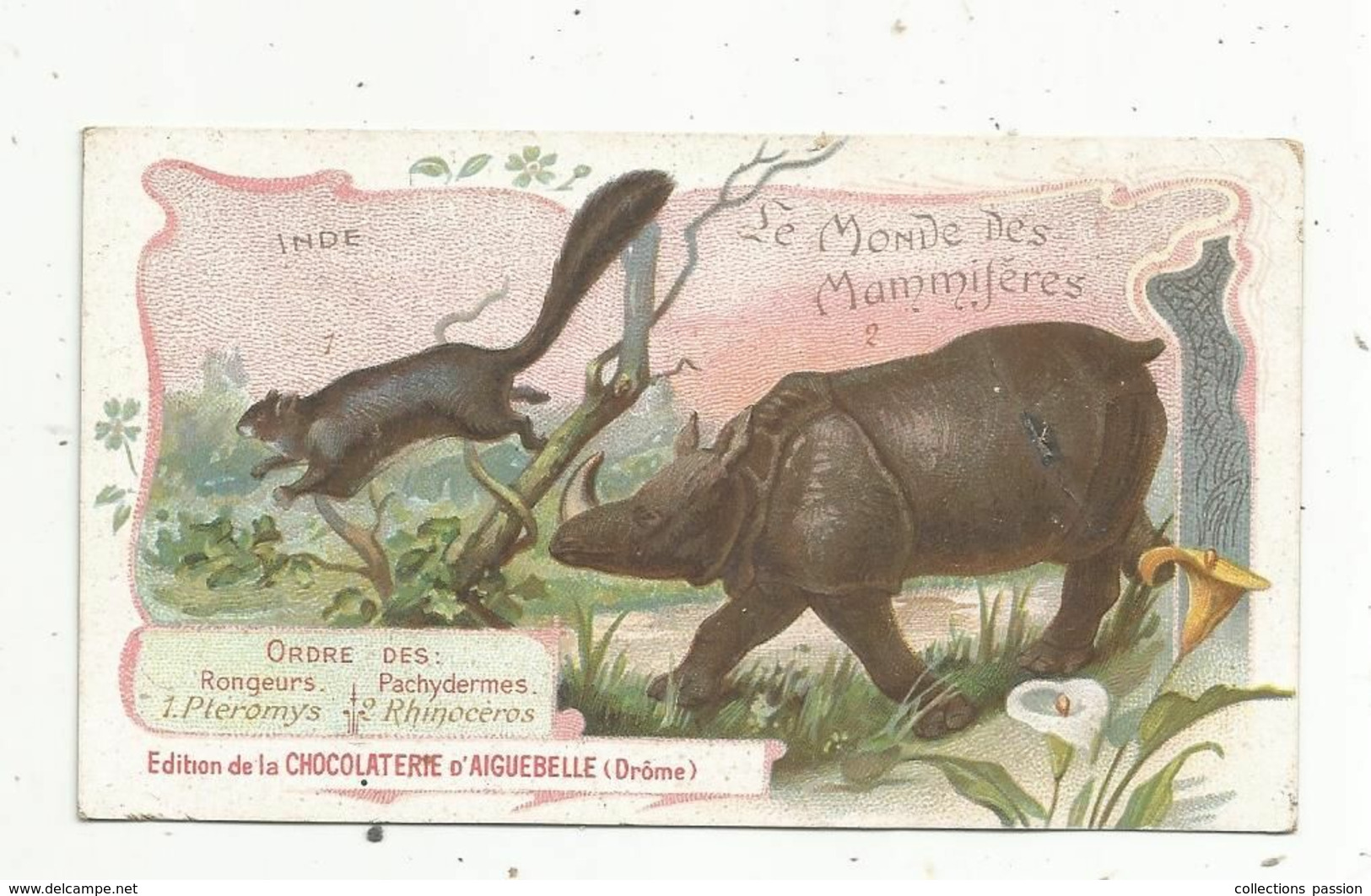 Chromo , Chocolaterie D'Aiguebelle ,le Monde Des Mammiféres ,Inde, Rongeurs Ptéromys Ou Taguan , Pachydermes Rhinocéros - Aiguebelle