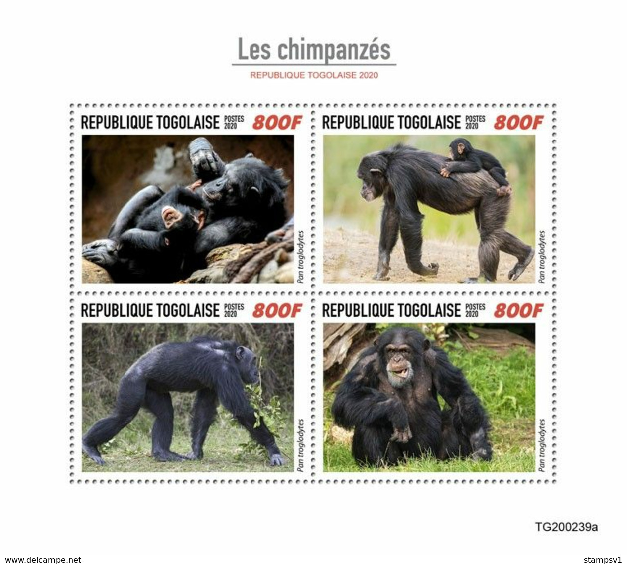 Togo 2020 Chimpanzees. (0239a) OFFICIAL ISSUE - Chimpanzés