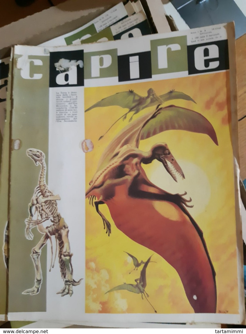 OLD ITALIAN MAGAZINE CAPIRE - 1966 COVER WITH PREHISTORIC ANIMALS DINOS SKELETON FOSSIL - Fossiles