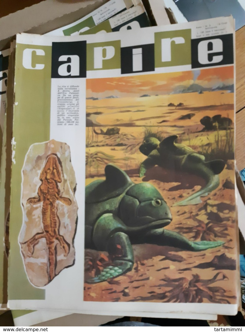 OLD ITALIAN MAGAZINE CAPIRE - 1966 COVER WITH PREHISTORIC ANIMALS DINOS SKELETON FOSSIL - Other & Unclassified