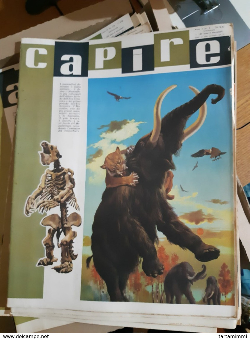 OLD ITALIAN MAGAZINE CAPIRE - 1966 COVER WITH MAMMOUTH SKELETON PREHISTORIC LIFE TIGER - Other & Unclassified
