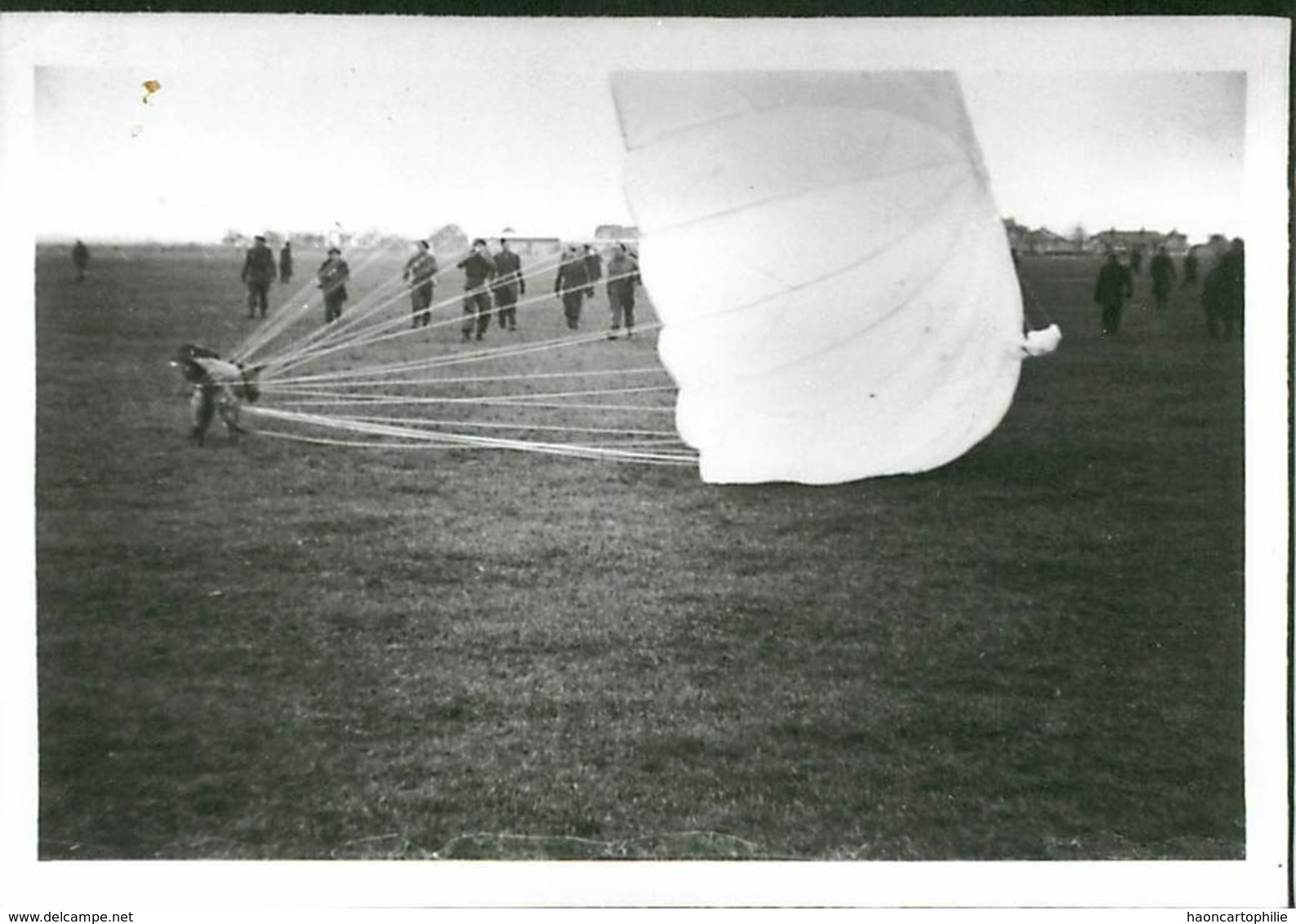 Saut D'un Chien En Parachute Parachutisme Photo Militaria - Parachutisme