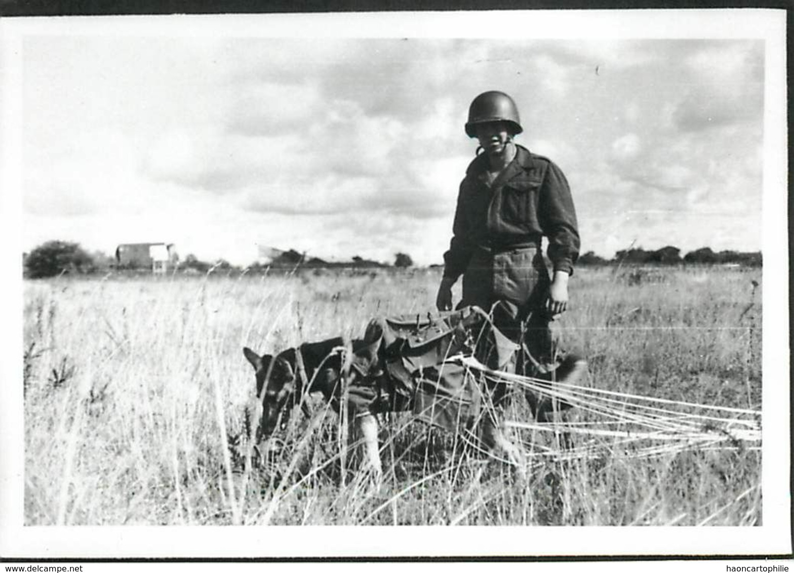 Saut D'un Chien En Parachute Parachutisme Photo Militaria - Parachutespringen