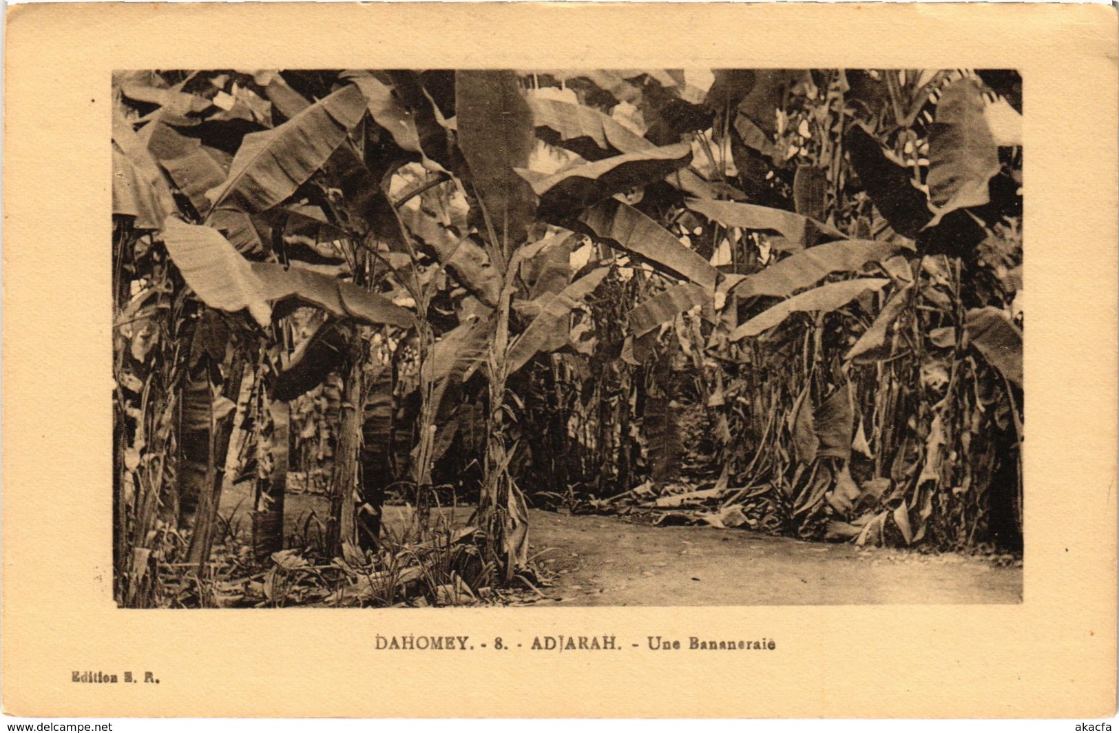 CPA AK DAHOMEY - Adjarah - Une Bananeraie (86818) - Dahomey