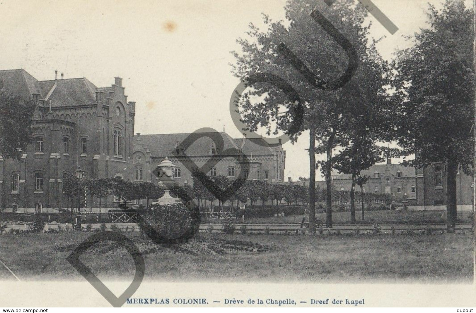 Postkaart-Carte Postale - MERKSPLAS Colonie - Drève De La Chapelle (B666) - Merksplas