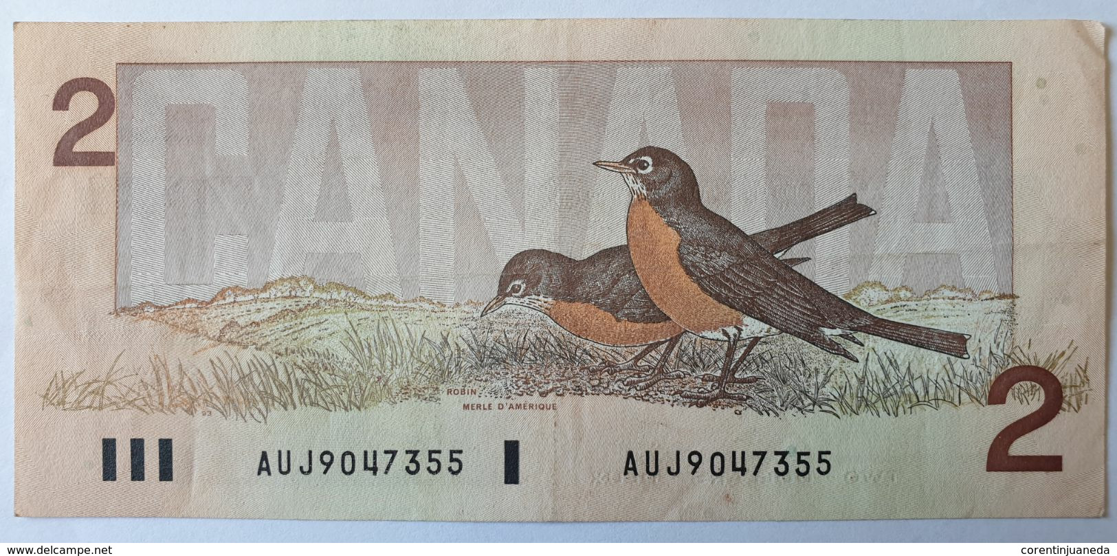 Canada 2 Dollars 1986 Ottawa Type Robin Merle D'Amérique - Canada