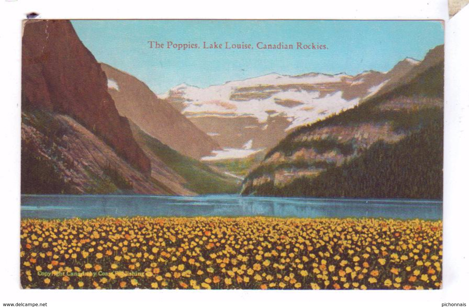 LAKE LOUISE AB Canada Canadian Rockies The Poppies - Lac Louise